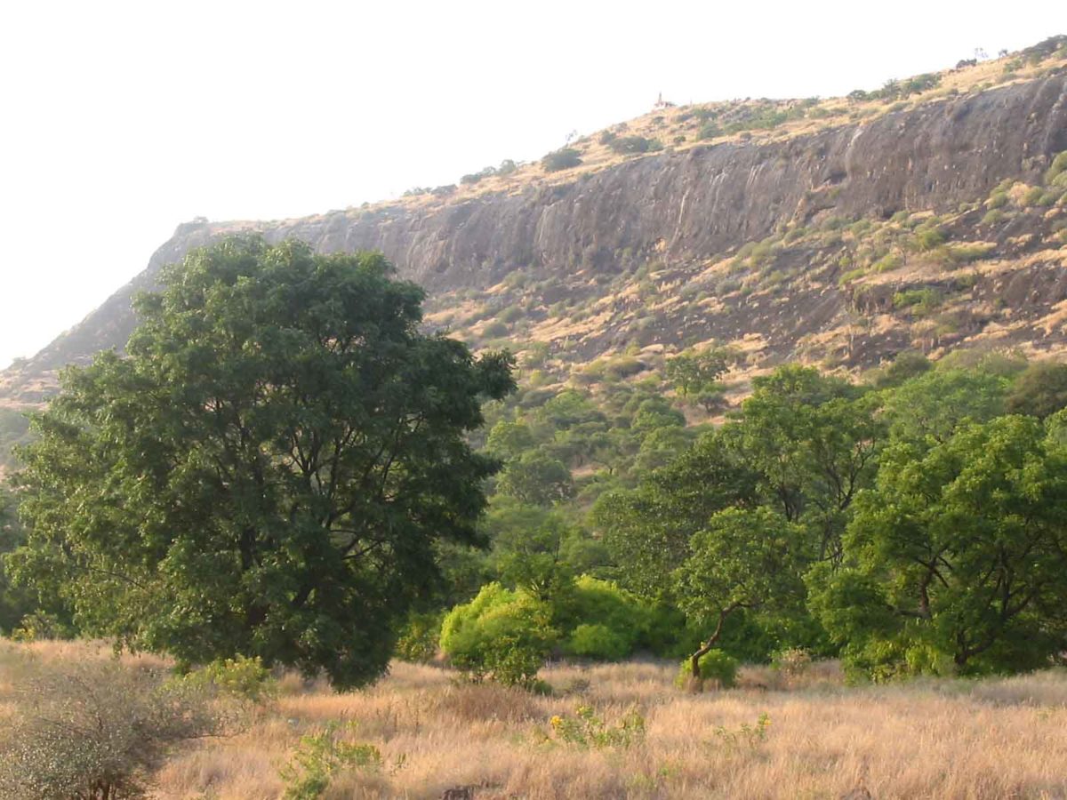 नारायणगड | Narayangad