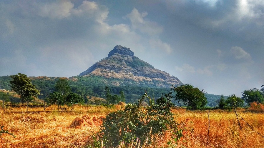 तिकोना किल्ला