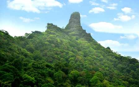 कर्नाळा पक्षी अभयारण्य