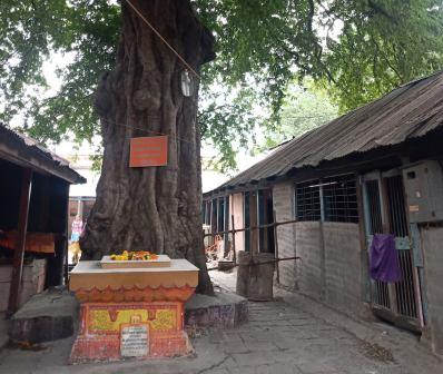 संतश्रेष्ठ सोपानदेव महाराज समाधी