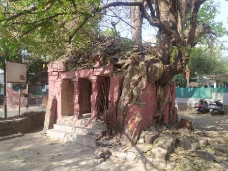 झाकोबा मंदिर, पुणे