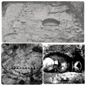 महाराष्ट्रातील ताम्रपाषाणयुग भाग 2 | Chalcolithic Age