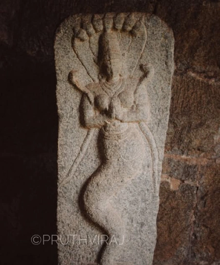 नागलोक | naglok