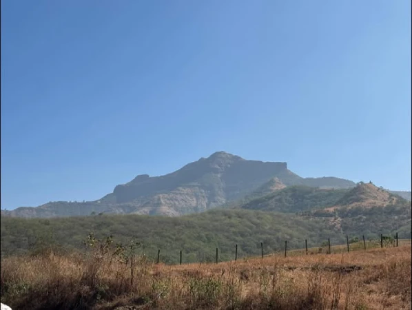 पुरंदर, एका शुर गडाची शोकांतिका
